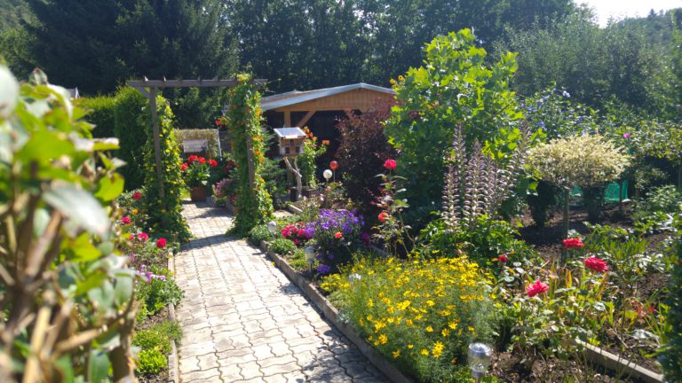 20160813_123155 Kleingartenverein "An der Aue" e.V. Zschopau